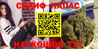 spice Обнинск