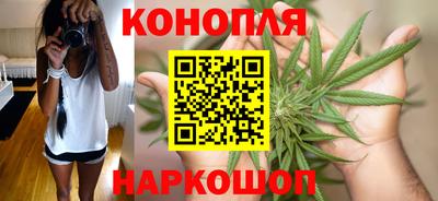 spice Обнинск